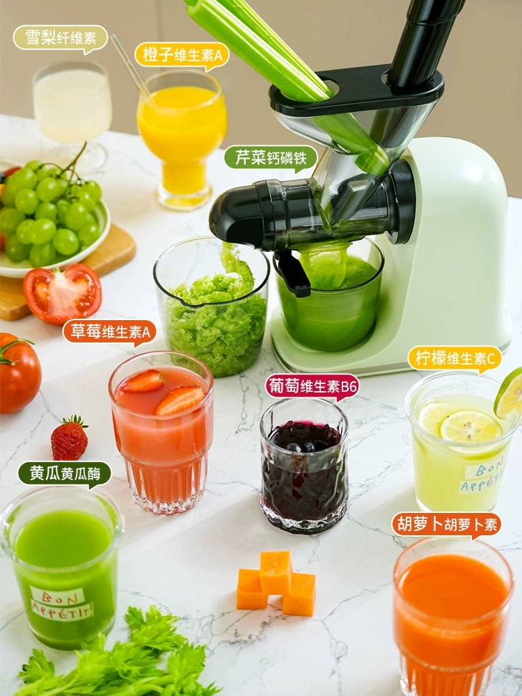 HIGH-POWER HOME ELECTRIC FRUIT JUICE EXTRACTOR