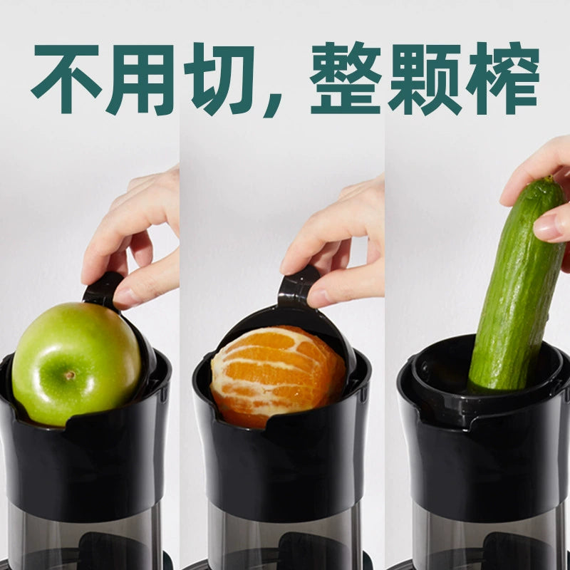 HIGH-POWER COMMERCIAL ELECTRIC FRUIT AND VEGETABLE JUICE EXTRACTOR