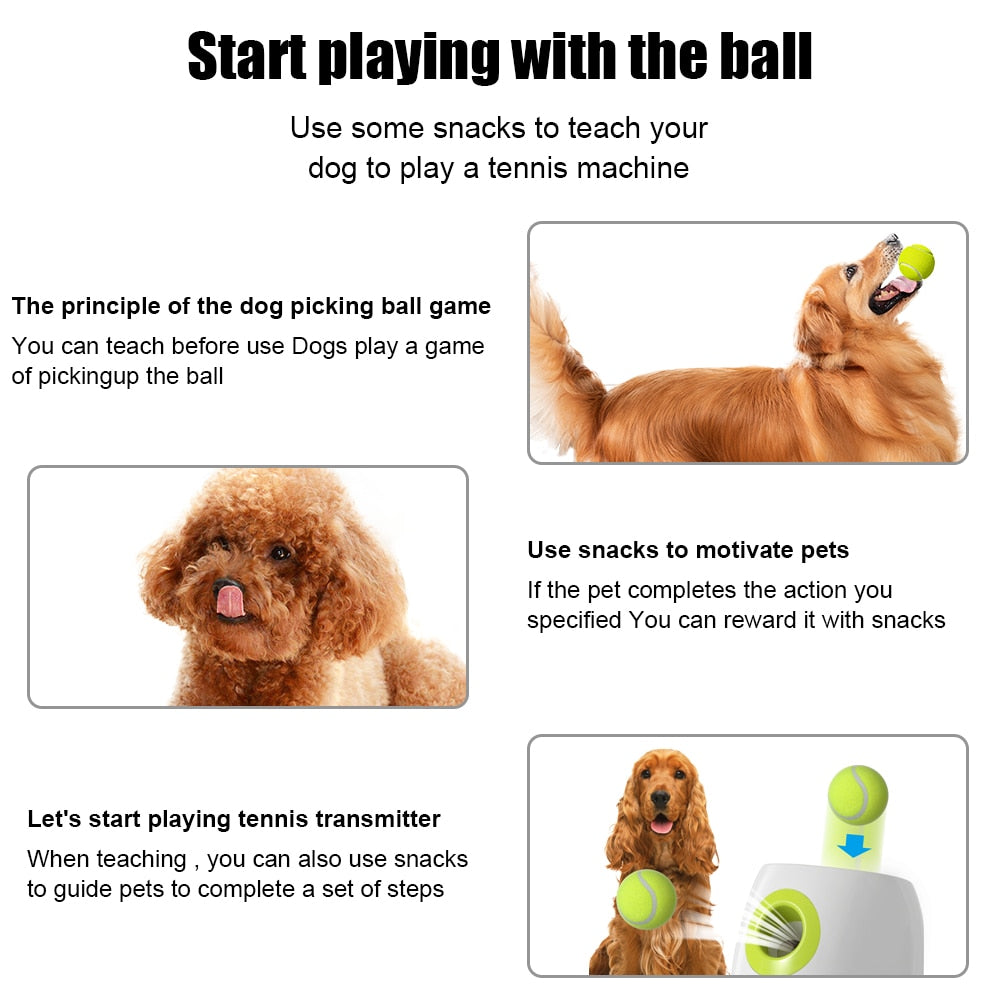 DOG - TENNIS BALL LAUNCHING MACHINE