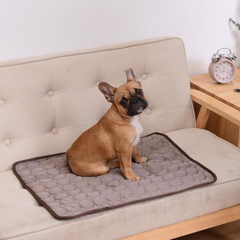 COOLING, BREATHABLE DOG BED